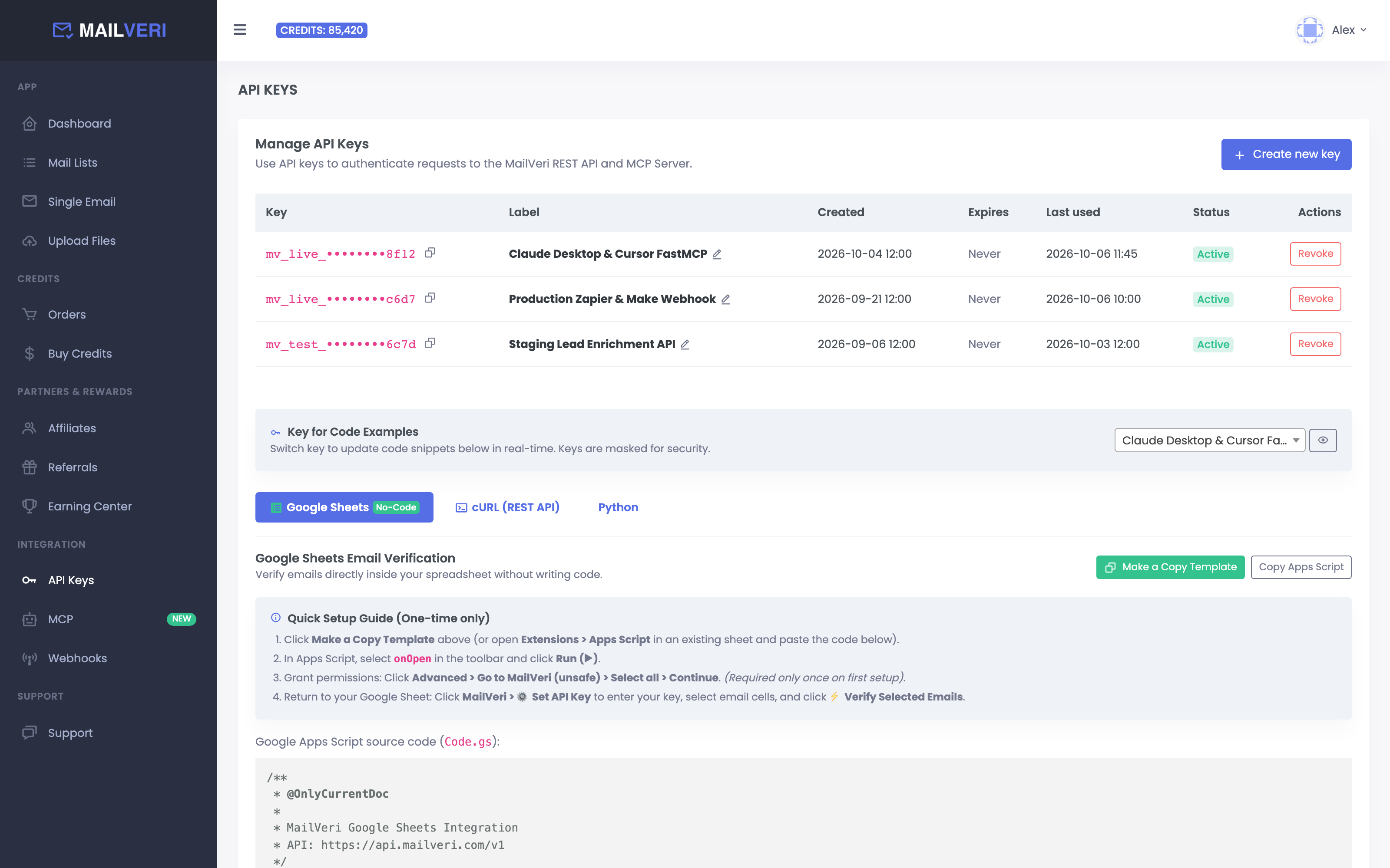 MailVeri Developer Hub API Keys management interface
